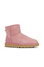 view 2 of 5 Classic Mini II Boot in Pink Dawn