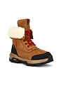 view 2 of 6 BOTTINES ADIRONDACK XXV in Chestnut