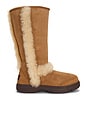 view 1 of 5 Sunburst Tall Boot in Chestnut