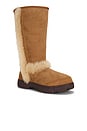 view 2 of 5 Sunburst Tall Boot in Chestnut