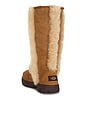view 4 of 5 Sunburst Tall Boot in Chestnut