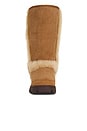 view 5 of 5 Sunburst Tall Boot in Chestnut