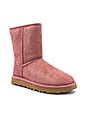 view 2 of 5 Classic Short II Boot in Pink Dawn