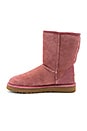 view 5 of 5 Classic Short II Boot in Pink Dawn