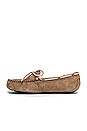 view 5 of 5 Dakota Slipper in Tabacco