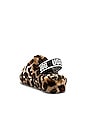 view 3 of 5 Fluff Yeah Leopard Shearling Slide in Amphora