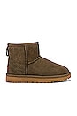 view 1 of 5 BOTTINES CLASSIC MINI II in Eucalyptus Spray