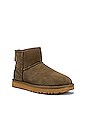 view 2 of 5 BOTTINES CLASSIC MINI II in Eucalyptus Spray