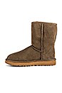 view 5 of 5 BOTTINES CLASSIC SHORT II in Eucalyptus Spray