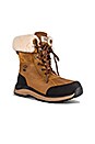 view 2 of 5 BOTTINES ADIRONDACK III in Chestnut