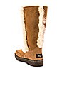 view 3 of 5 BOTTINES SUNDANCE II REVIVAL in Chestnut