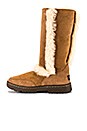 view 5 of 5 BOTTINES SUNDANCE II REVIVAL in Chestnut
