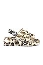view 1 of 5 Fluff Yeah Leopard Slide in White