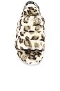 view 4 of 5 Fluff Yeah Leopard Slide in White