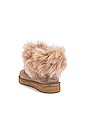 view 3 of 5 BOTTINES CLASSIC MINI FLUFF COLLAR in Caribou