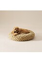 view 5 of 6 Small Shira Pet Bed in Sand