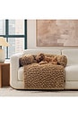 view 5 of 5 Small Shira Pet Sofa in Chestnut
