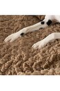 view 4 of 5 Medium Shira Pet Sofa in Chestnut