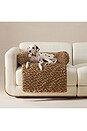 view 5 of 5 Medium Shira Pet Sofa in Chestnut