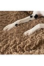 view 4 of 5 Large Shira Pet Sofa in Chestnut