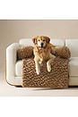 view 5 of 5 Large Shira Pet Sofa in Chestnut