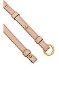view 3 of 3 Ivy Knotted Rope Belt in Powder