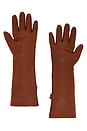 view 2 of 2 Laetitia Embellished Leather Gloves in Wenge