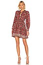 view 1 of 3 Asimar Dress in Henna
