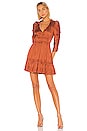 view 1 of 4 Luisa Dress in Rust