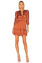 view 2 of 4 Luisa Dress in Rust