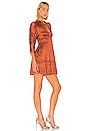 view 3 of 4 Luisa Dress in Rust