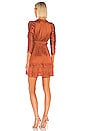 view 4 of 4 Luisa Dress in Rust