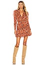 view 1 of 5 Cecily Dress in Poppy