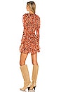 view 4 of 5 Cecily Dress in Poppy