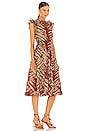 view 3 of 4 Pilar Dress in Canyon