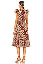 view 4 of 4 Pilar Dress in Canyon