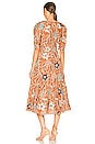 view 3 of 3 Zeenat Dress in Copper