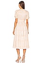 view 3 of 3 Rose Dress in Dawn