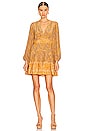 view 1 of 3 Hayana Mini Dress in Citrine