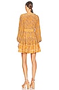 view 3 of 3 Hayana Mini Dress in Citrine