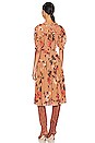 view 3 of 3 Adette Dress in Garden Rose