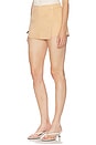view 3 of 6 SHORT BEAU in Fawn
