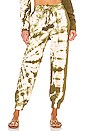 view 1 of 4 PANTALÓN CHARLEY in Olive Tie Dye