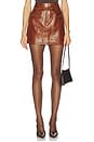 view 1 of 6 Luna Leather Mini Skirt in Wenge