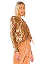view 2 of 5 BLUSA CAMILLA in Rose Gold