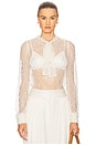view 1 of 5 Iliana Necktie Long Sleeve Blouse in Pearl
