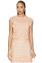 view 1 of 4 Daevy Lace Short Sleeve Top in Blush