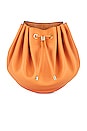 view 1 of 6 Paloma Ruched Essential Pouch in Copper Tan