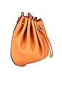 view 3 of 6 Paloma Ruched Essential Pouch in Copper Tan