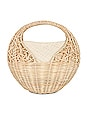 view 1 of 5 Sea Shell Wicker Bag in Natural